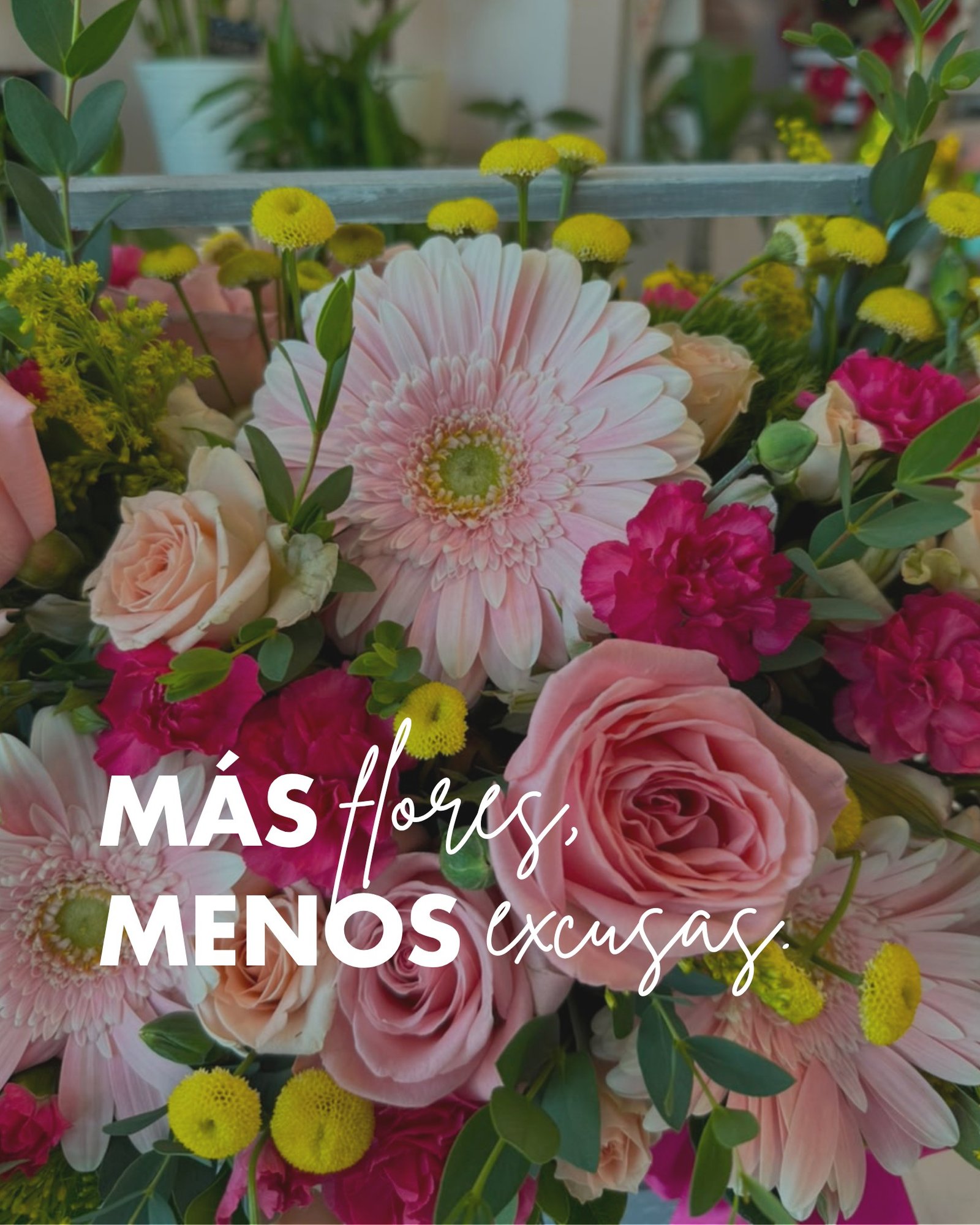 Cuando ves unas flores y automáticamente piensas en alguien
Bueno… ya tienes el motivo 👀🌷

¡Escríbenos por WhatsApp y hazle llegar un ramo hoy!
📲 WhatsApp: 998 167 8206 https://wa.link/s1glww
📞 (998) 287 3704
🌐 www.florescancun.com.mx

#cancun #FloresCancún #FloreríaCancún #RegalaFlores #RamosDeFlores #FloresEnCancún #FloresADomicilio