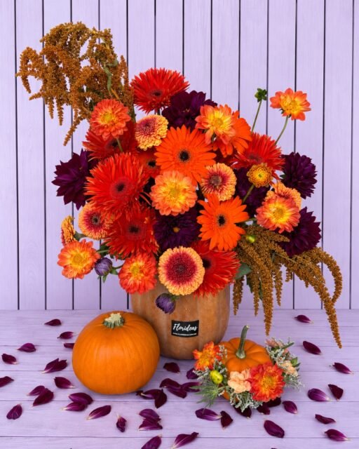 ¡El otoño llegó y viene en forma de flores! 🍂🎃 La magia del otoño también florece y este arreglo floral otoñal es perfecto para decorar, regalar o llenar cualquier espacio de color 🧡🍁Agenda hoy y lleva un pedacito de otoño a casa:📲 WhatsApp: 998 167 8206📞 (998) 287 3704🚚 Entregas a domicilio en Cancún.#Otoño2026 #ArreglosFlorales #FloresDeOtoño #FloreriaCancun #FloresADomicilio #DecoracionOtoñal #FloresCancun #cancun